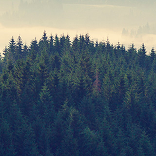 云呼电话轰炸机网页版