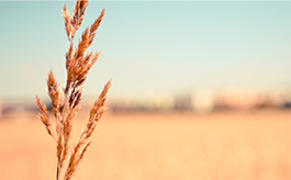 激活码发卡的手机轰炸